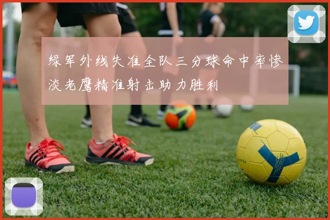 绿军外线失准全队三分球命中率惨淡老鹰精准射击助力胜利