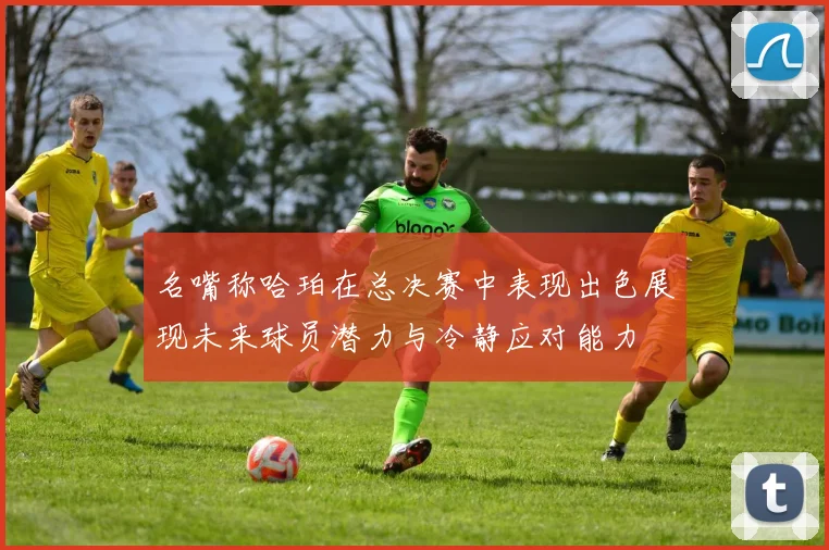 名嘴称哈珀在总决赛中表现出色展现未来球员潜力与冷静应对能力