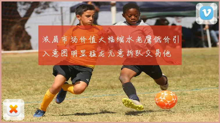浓眉市场价值大幅缩水老鹰低价引入意图明显猛龙无意拆队交易他