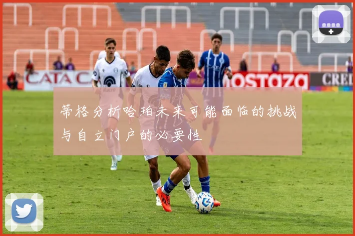 蒂格分析哈珀未来可能面临的挑战与自立门户的必要性